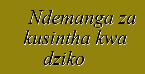 Ndemanga za kusintha kwa dziko