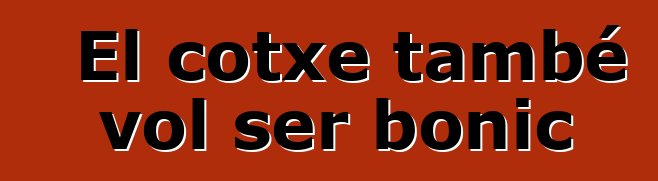 El cotxe també vol ser bonic