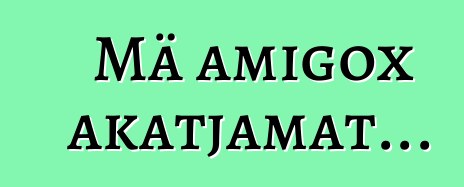 Mä amigox akatjamat...