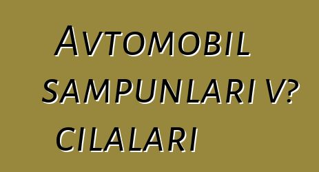 Avtomobil şampunları və cilaları