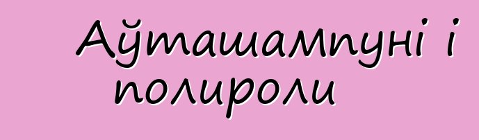 Аўташампуні і полироли