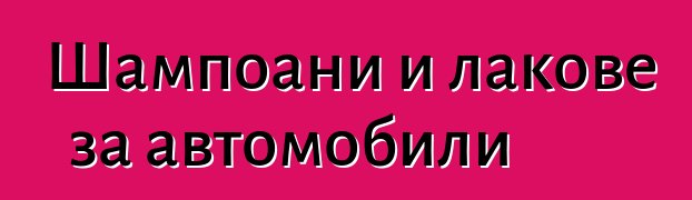 Шампоани и лакове за автомобили
