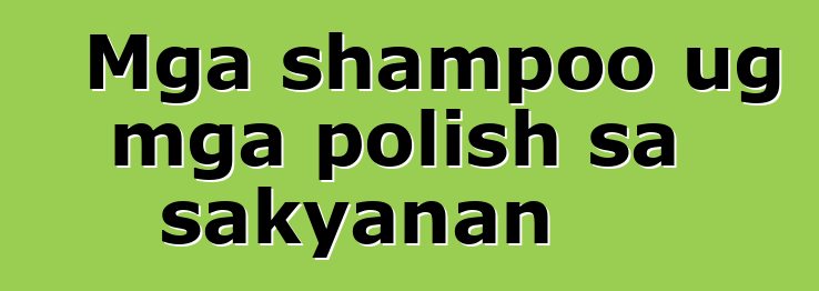 Mga shampoo ug mga polish sa sakyanan