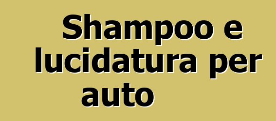 Shampoo e lucidatura per auto