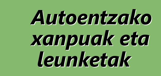 Autoentzako xanpuak eta leunketak