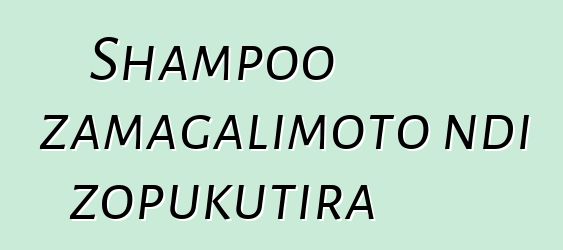 Shampoo zamagalimoto ndi zopukutira