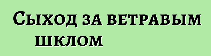 Сыход за ветравым шклом