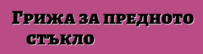 Грижа за предното стъкло