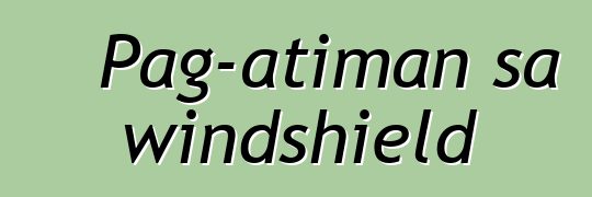Pag-atiman sa windshield