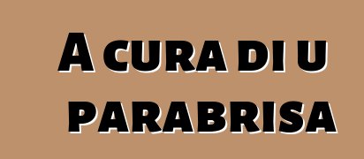 A cura di u parabrisa