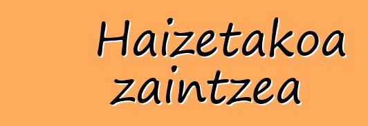 Haizetakoa zaintzea
