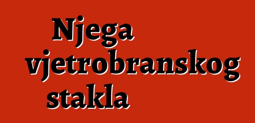 Njega vjetrobranskog stakla