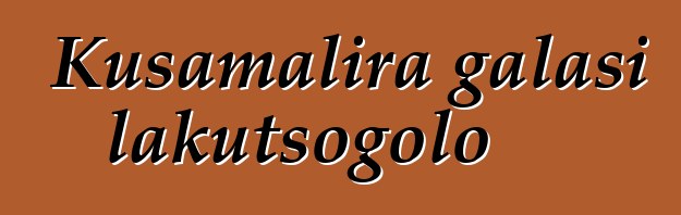Kusamalira galasi lakutsogolo