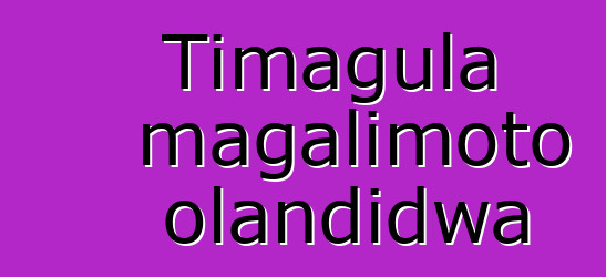 Timagula magalimoto olandidwa