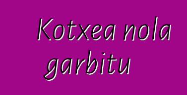Kotxea nola garbitu