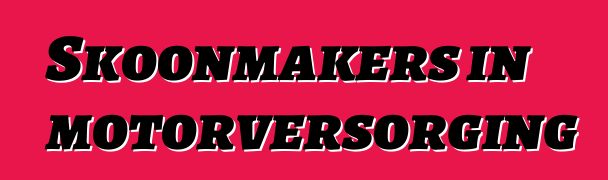 Skoonmakers in motorversorging