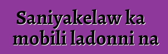 Saniyakɛlaw ka mobili ladonni na