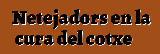 Netejadors en la cura del cotxe