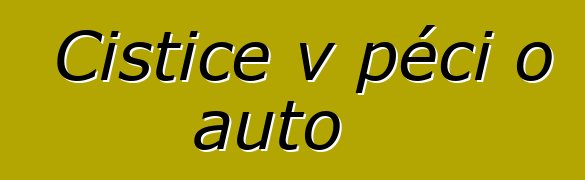 Čističe v péči o auto