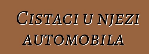 Čistači u njezi automobila