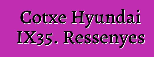 Cotxe Hyundai IX35. Ressenyes