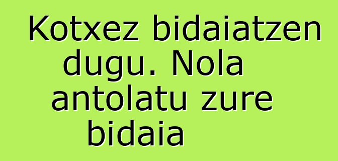 Kotxez bidaiatzen dugu. Nola antolatu zure bidaia