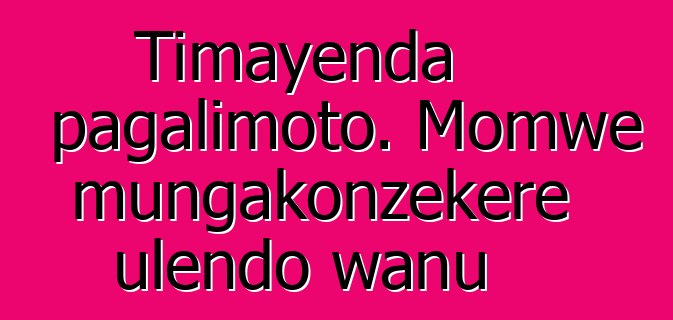 Timayenda pagalimoto. Momwe mungakonzekere ulendo wanu