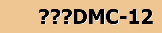 德罗宁DMC-12