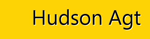 Hudson Agt
