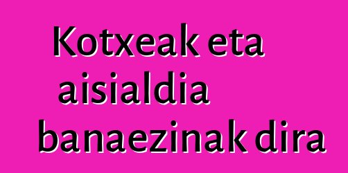Kotxeak eta aisialdia banaezinak dira