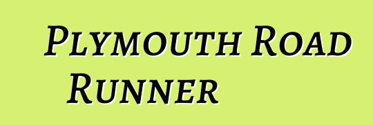 Plymouth Road Runner