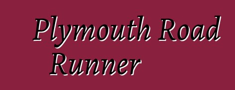 Plymouth Road Runner