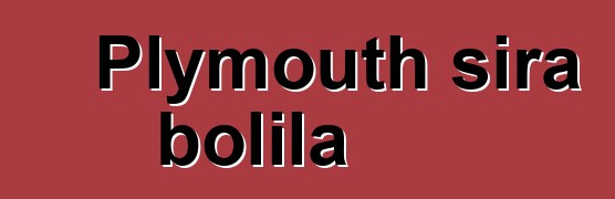 Plymouth sira bolila