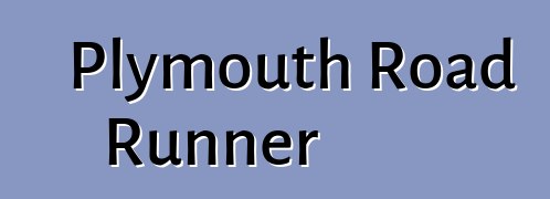 Plymouth Road Runner