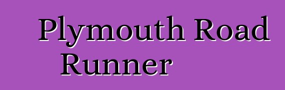 Plymouth Road Runner