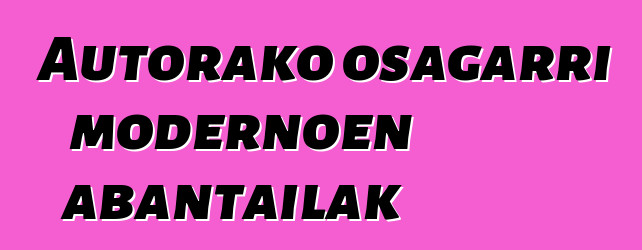 Autorako osagarri modernoen abantailak