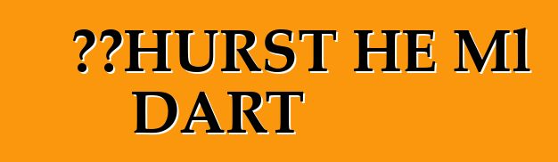 道奇HURST HE Ml DART