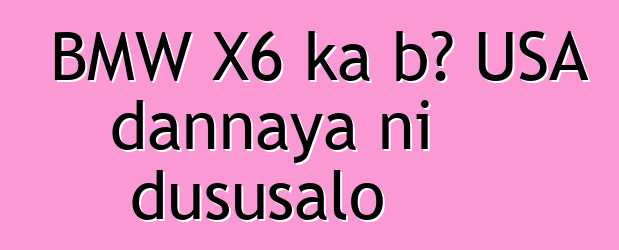 BMW X6 ka bɔ USA dannaya ni dususalo