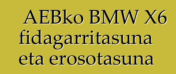 AEBko BMW X6 fidagarritasuna eta erosotasuna