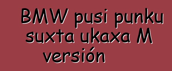 BMW pusi punku suxta ukaxa M versión