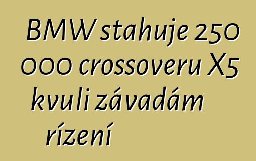 BMW stahuje 250 000 crossoverů X5 kvůli závadám řízení