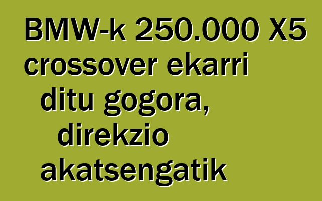 BMW-k 250.000 X5 crossover ekarri ditu gogora, direkzio akatsengatik