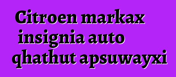 Citroen markax insignia auto qhathut apsuwayxi