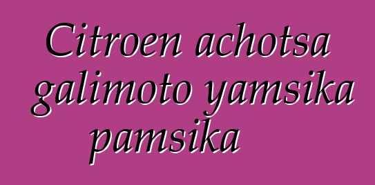 Citroen achotsa galimoto yamsika pamsika