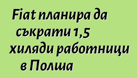 Fiat планира да съкрати 1,5 хиляди работници в Полша
