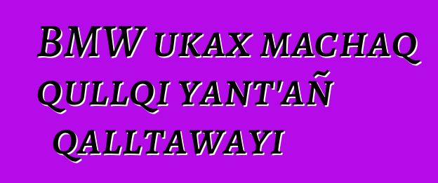 BMW ukax machaq qullqi yant’añ qalltawayi
