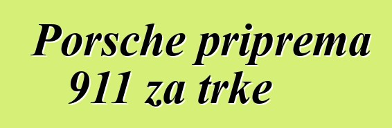 Porsche priprema 911 za trke