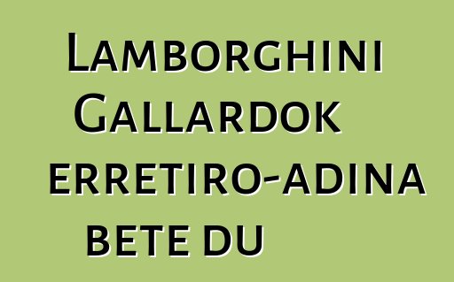 Lamborghini Gallardok erretiro-adina bete du