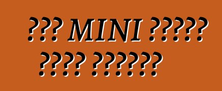 ትንሿ MINI መስቀለኛ መንገድ ተቀበለችው