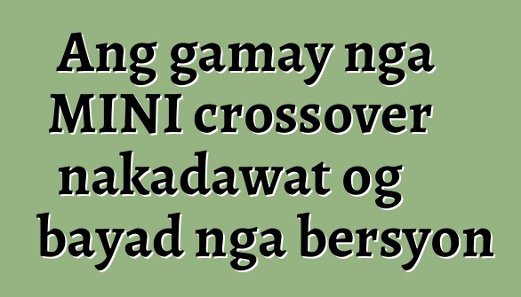 Ang gamay nga MINI crossover nakadawat og bayad nga bersyon